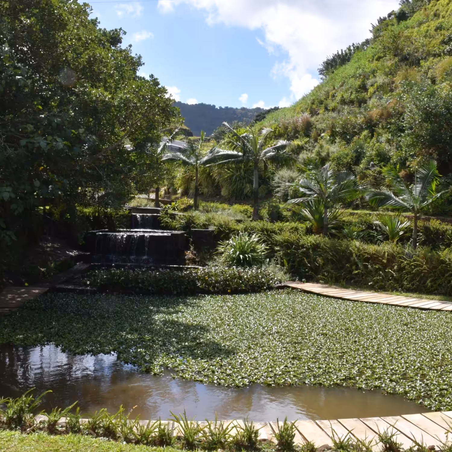 rock garden in Mauritius, Vallé Rock Garden, Zen garden Mauritius, nature retreat, peaceful garden Mauritius