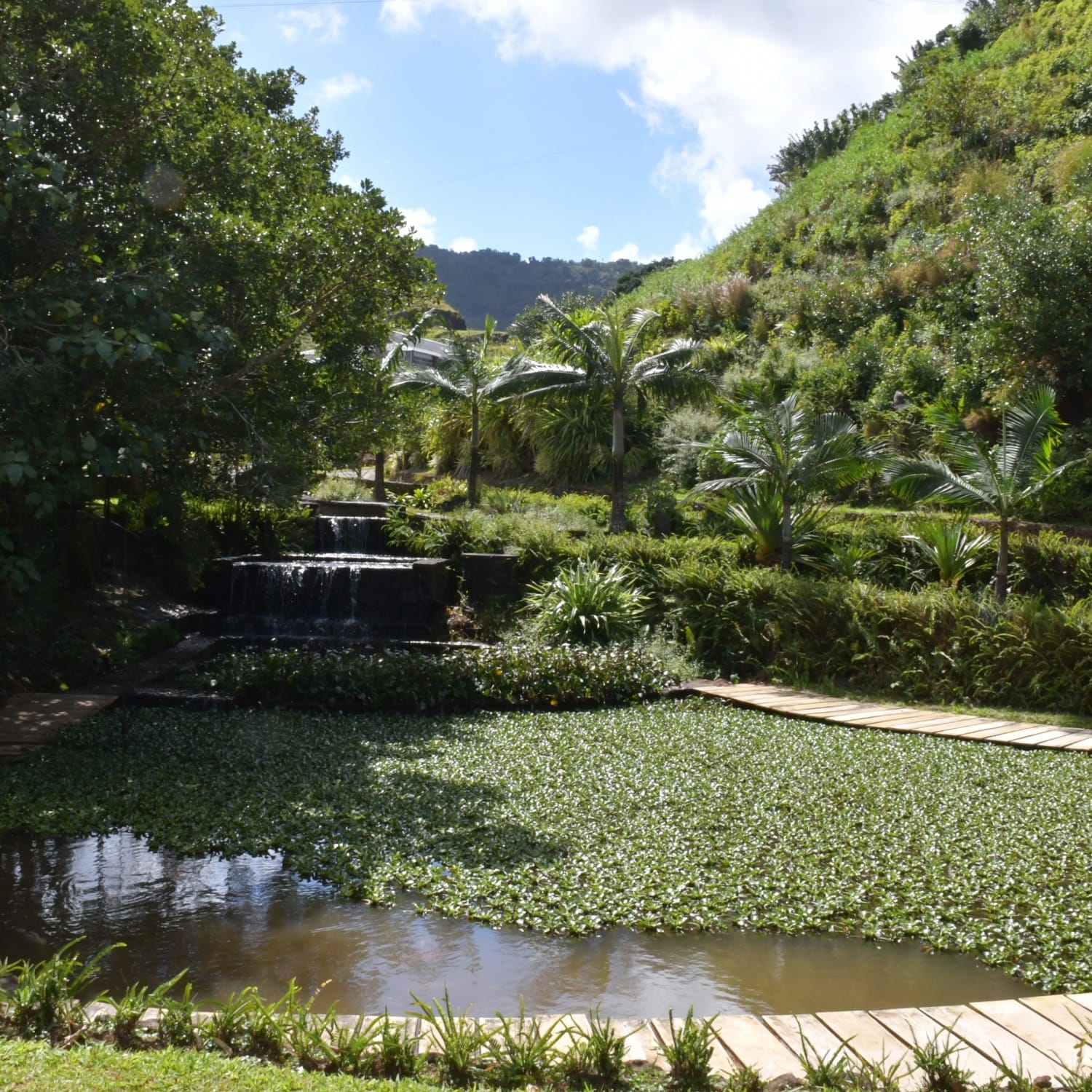 rock garden in Mauritius, Vallé Rock Garden, Zen garden Mauritius, nature retreat, peaceful garden Mauritius