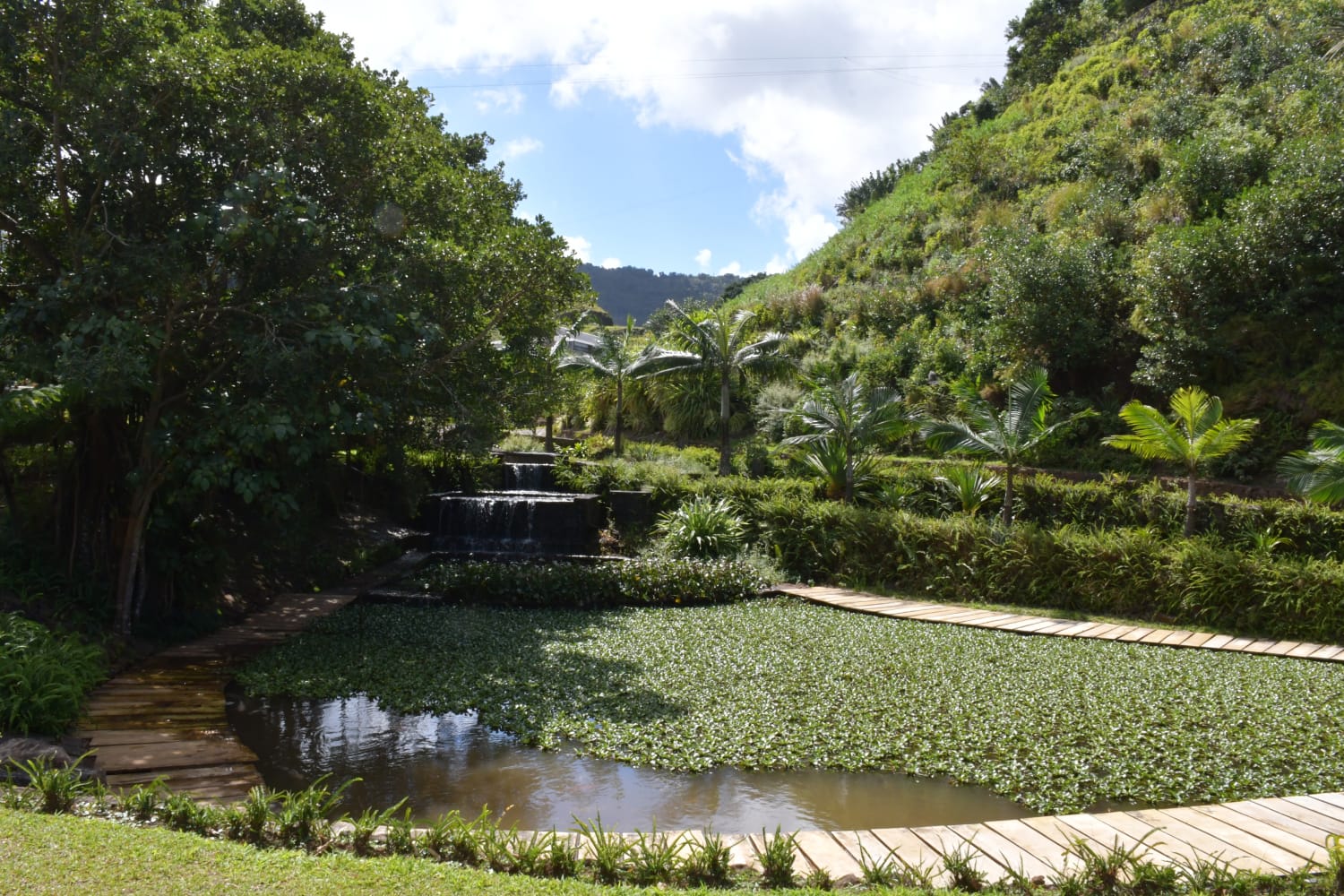rock garden in Mauritius, Vallé Rock Garden, Zen garden Mauritius, nature retreat, peaceful garden Mauritius